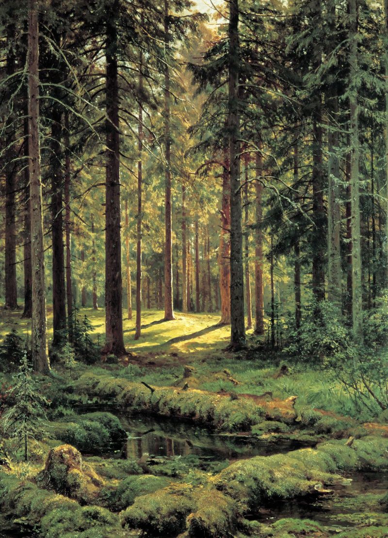 «Хвойный лес. Солнечный день». И.Шишкин